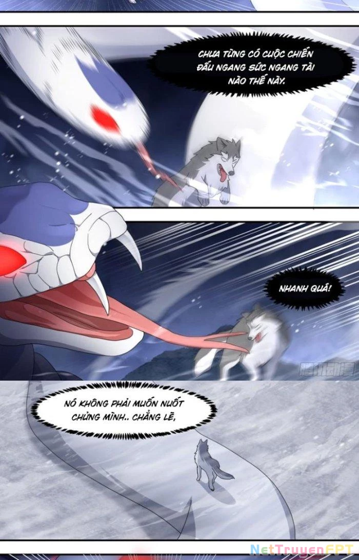 Trọng Sinh Thành Chó Của Nữ Thần Chapter 278 - Trang 2
