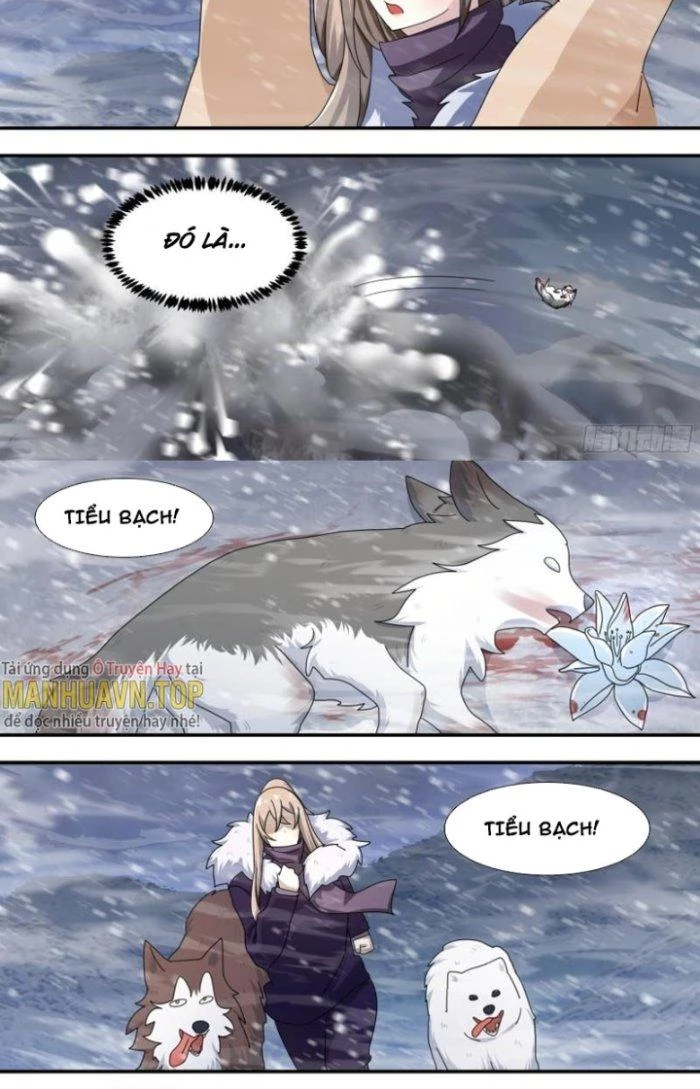 Trọng Sinh Thành Chó Của Nữ Thần Chapter 278 - Trang 2