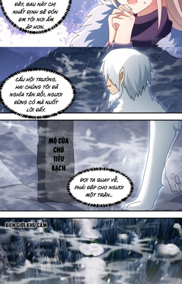Trọng Sinh Thành Chó Của Nữ Thần Chapter 278 - Trang 2