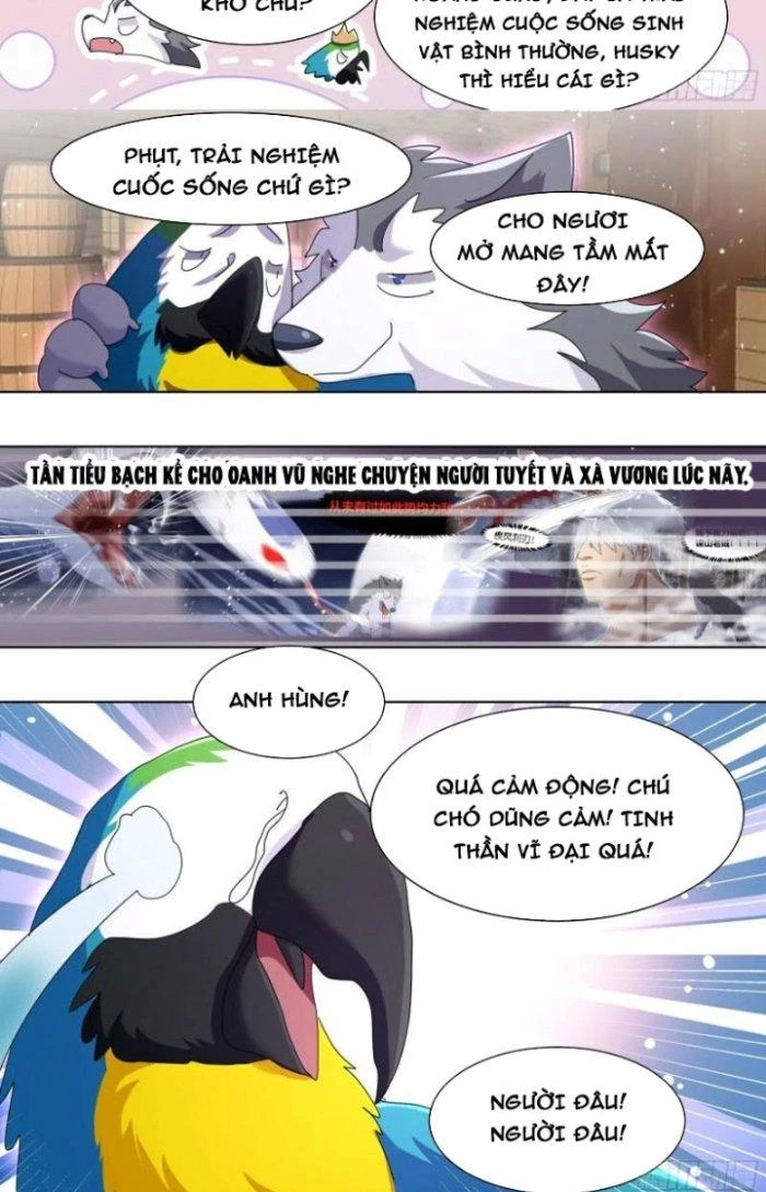 Trọng Sinh Thành Chó Của Nữ Thần Chapter 279 - Trang 2