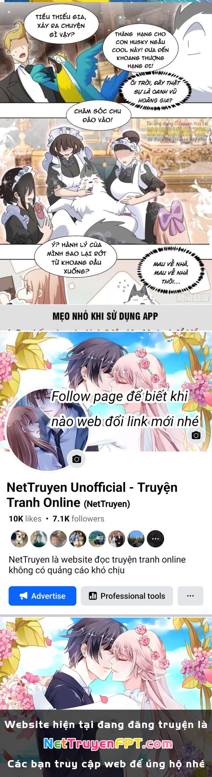 Trọng Sinh Thành Chó Của Nữ Thần Chapter 279 - Trang 2