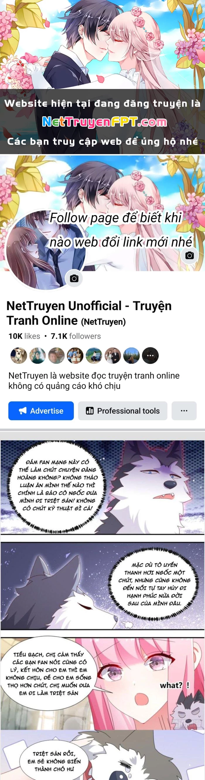 Trọng Sinh Thành Chó Của Nữ Thần Chapter 281 - Trang 2