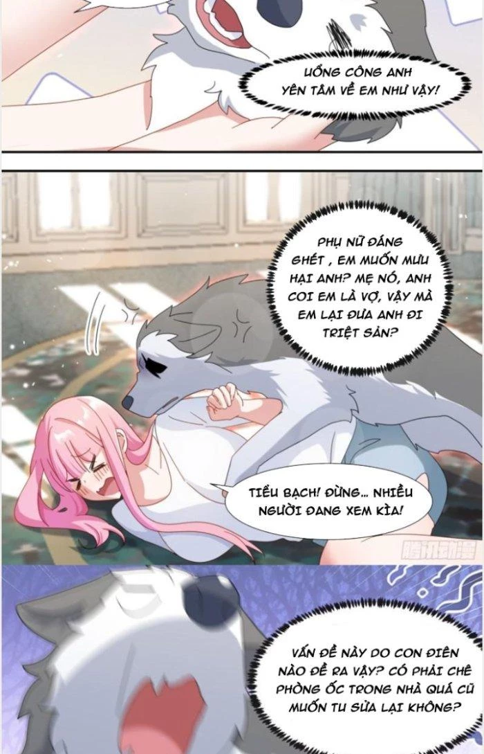 Trọng Sinh Thành Chó Của Nữ Thần Chapter 281 - Trang 2