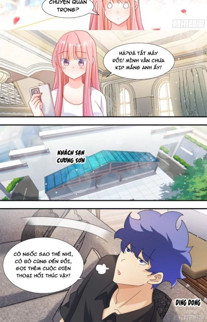Trọng Sinh Thành Chó Của Nữ Thần Chapter 284 - Trang 2