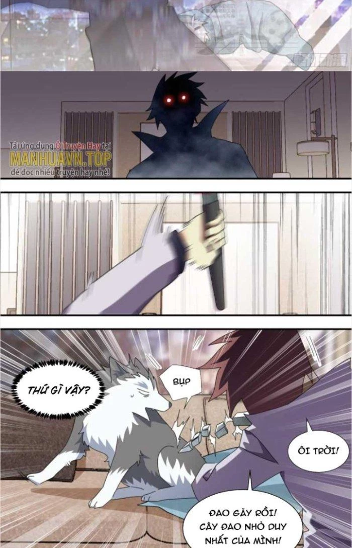 Trọng Sinh Thành Chó Của Nữ Thần Chapter 286 - Trang 2