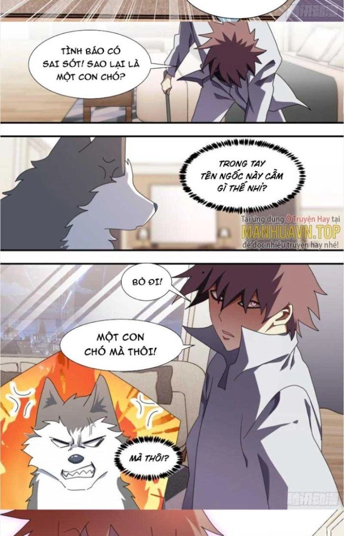 Trọng Sinh Thành Chó Của Nữ Thần Chapter 286 - Trang 2