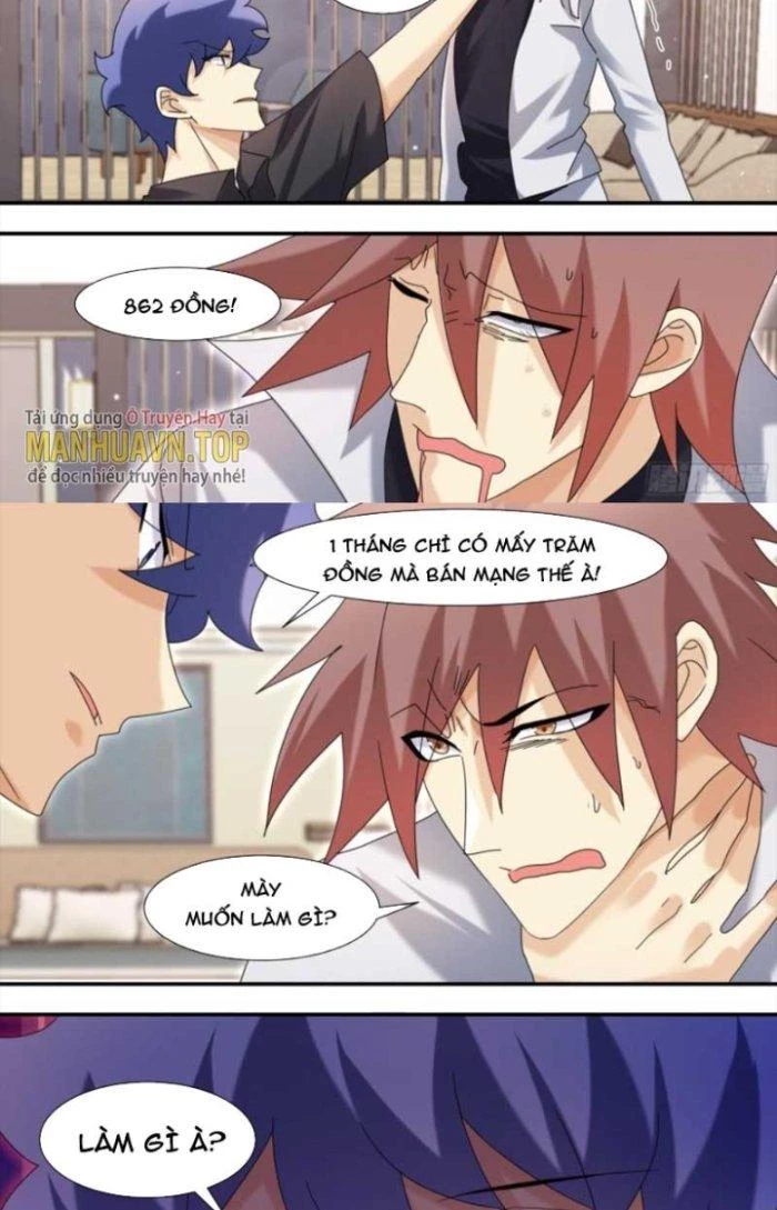 Trọng Sinh Thành Chó Của Nữ Thần Chapter 287 - Trang 2