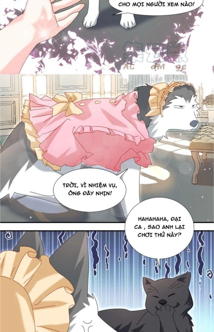 Trọng Sinh Thành Chó Của Nữ Thần Chapter 288 - Trang 2