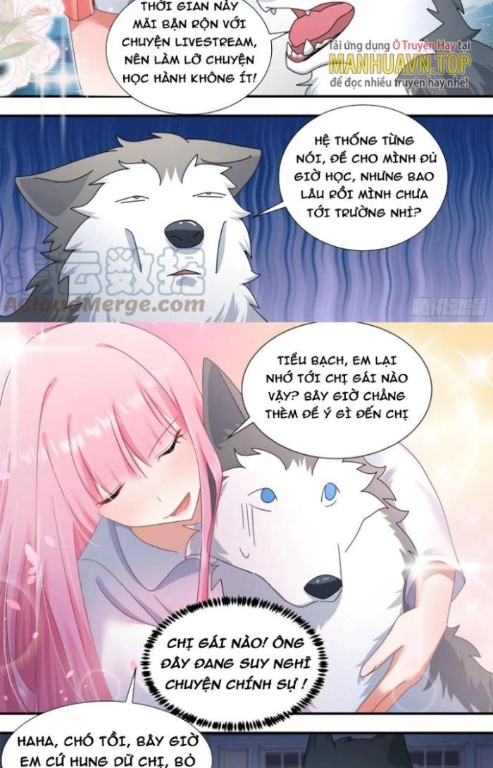 Trọng Sinh Thành Chó Của Nữ Thần Chapter 289 - Trang 2