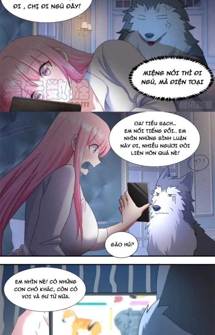 Trọng Sinh Thành Chó Của Nữ Thần Chapter 289 - Trang 2