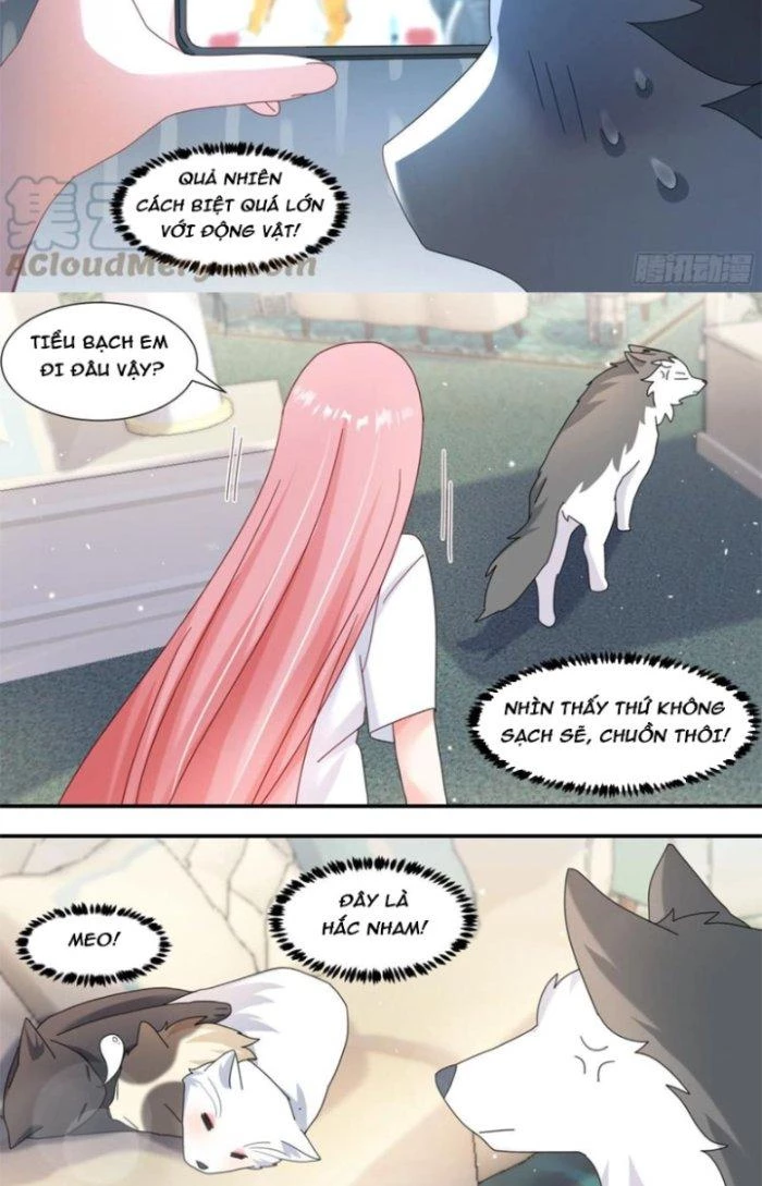 Trọng Sinh Thành Chó Của Nữ Thần Chapter 289 - Trang 2