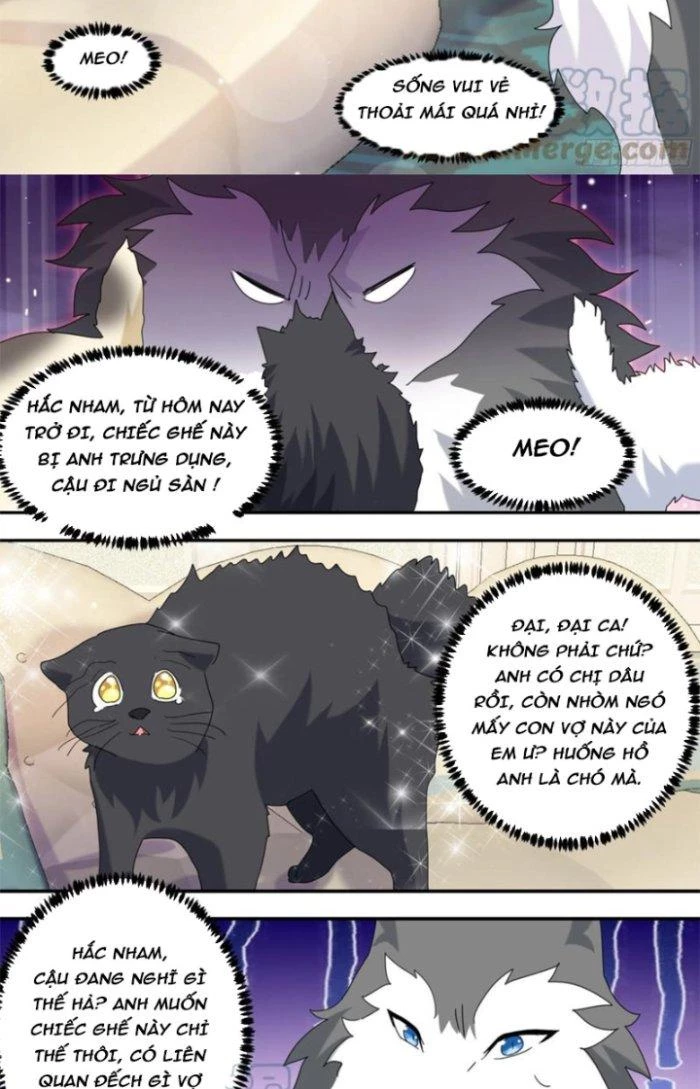 Trọng Sinh Thành Chó Của Nữ Thần Chapter 289 - Trang 2