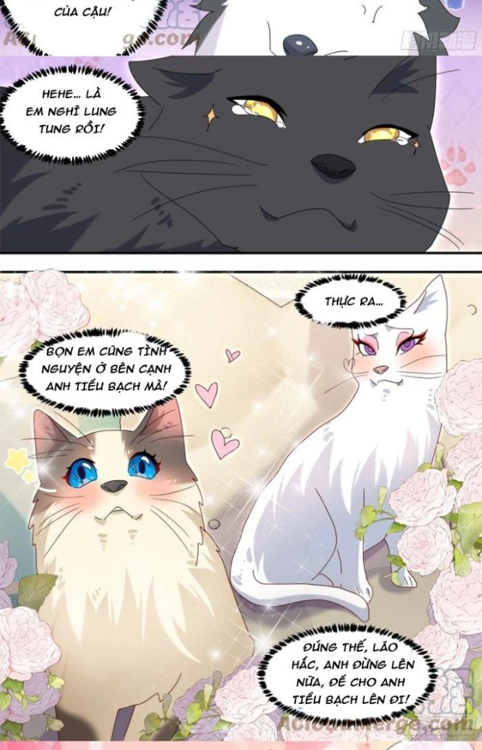 Trọng Sinh Thành Chó Của Nữ Thần Chapter 289 - Trang 2