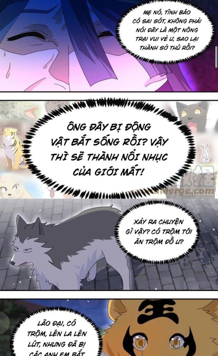 Trọng Sinh Thành Chó Của Nữ Thần Chapter 290 - Trang 2