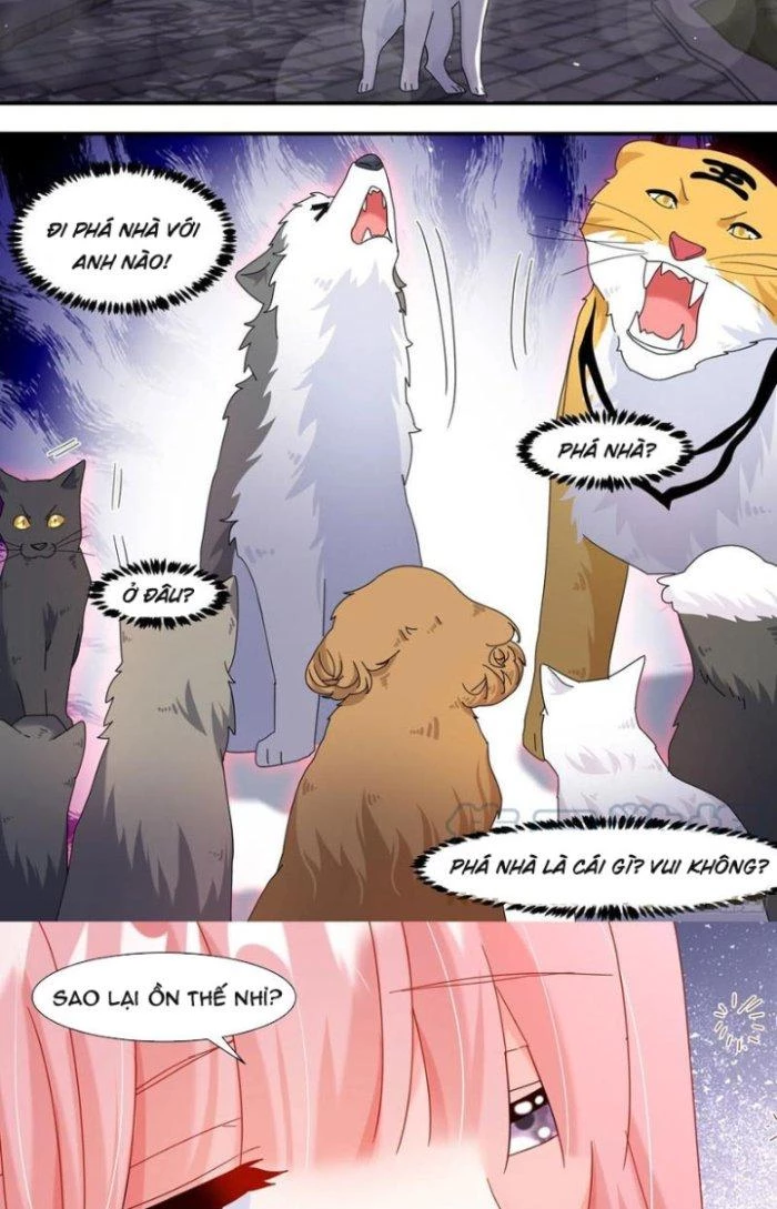 Trọng Sinh Thành Chó Của Nữ Thần Chapter 291 - Trang 2
