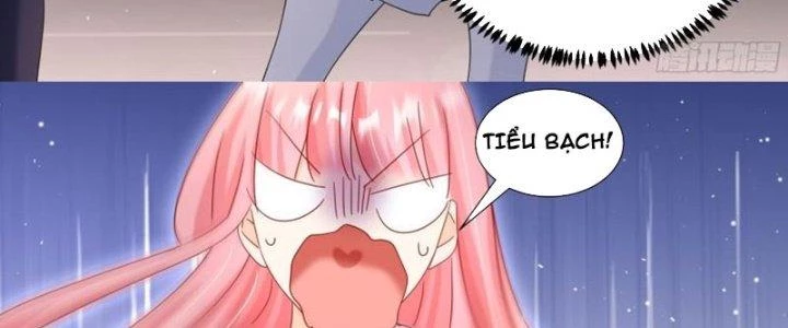 Trọng Sinh Thành Chó Của Nữ Thần Chapter 293 - Trang 2