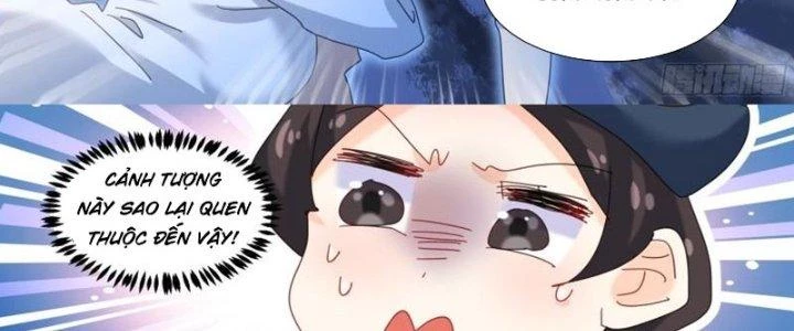 Trọng Sinh Thành Chó Của Nữ Thần Chapter 293 - Trang 2