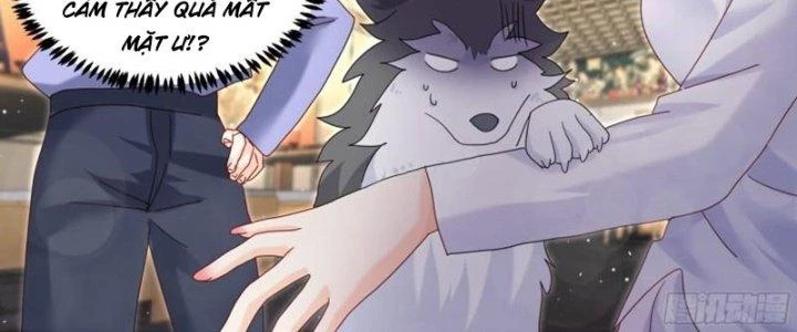 Trọng Sinh Thành Chó Của Nữ Thần Chapter 293 - Trang 2