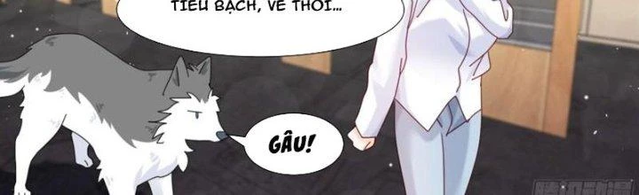 Trọng Sinh Thành Chó Của Nữ Thần Chapter 293 - Trang 2