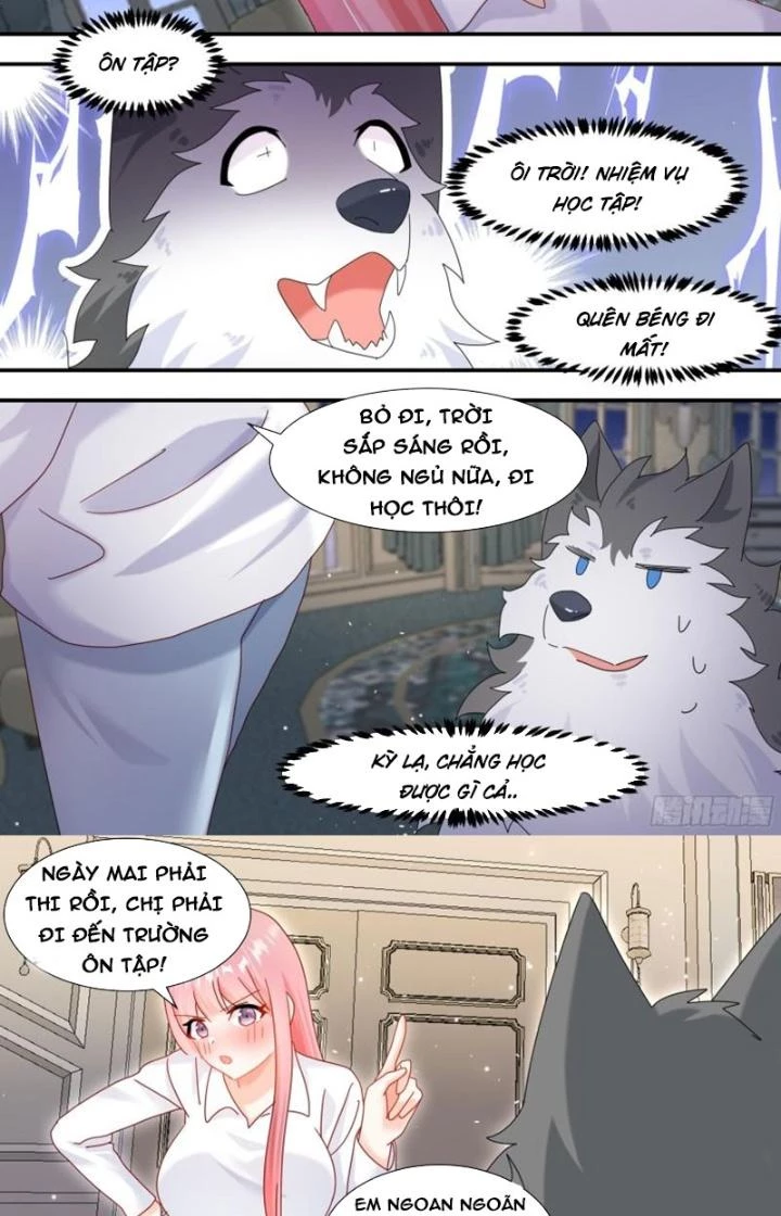 Trọng Sinh Thành Chó Của Nữ Thần Chapter 294 - Trang 2