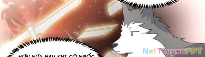 Trọng Sinh Thành Chó Của Nữ Thần Chapter 295 - Trang 2