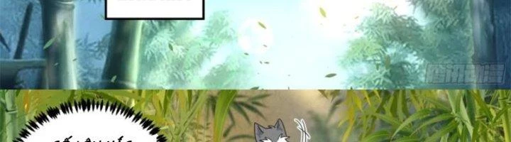 Trọng Sinh Thành Chó Của Nữ Thần Chapter 295 - Trang 2