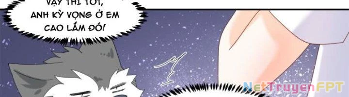 Trọng Sinh Thành Chó Của Nữ Thần Chapter 295 - Trang 2