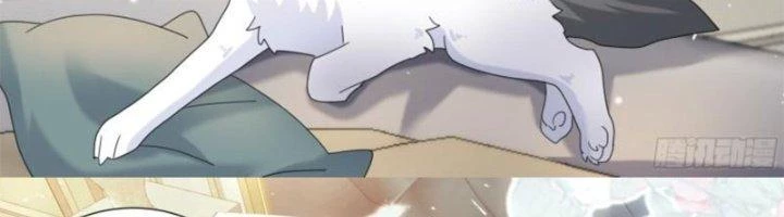 Trọng Sinh Thành Chó Của Nữ Thần Chapter 296 - Trang 2