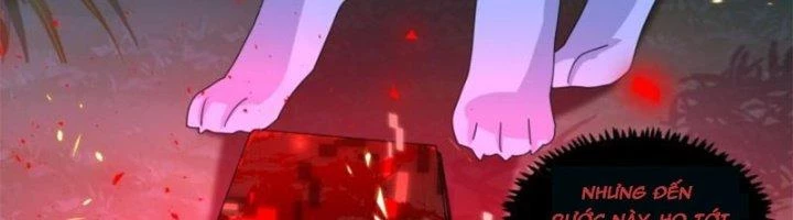 Trọng Sinh Thành Chó Của Nữ Thần Chapter 296 - Trang 2