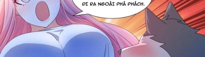 Trọng Sinh Thành Chó Của Nữ Thần Chapter 296 - Trang 2