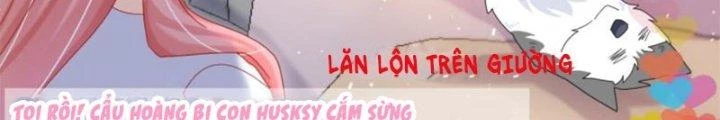 Trọng Sinh Thành Chó Của Nữ Thần Chapter 296 - Trang 2
