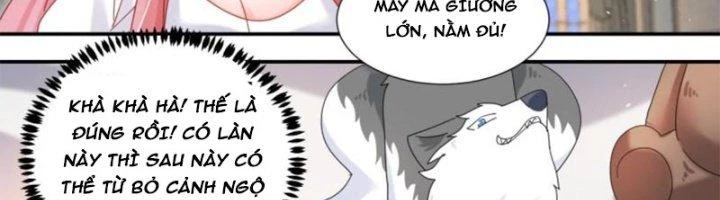 Trọng Sinh Thành Chó Của Nữ Thần Chapter 296 - Trang 2