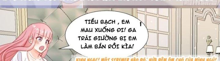 Trọng Sinh Thành Chó Của Nữ Thần Chapter 296 - Trang 2