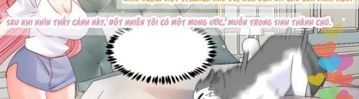 Trọng Sinh Thành Chó Của Nữ Thần Chapter 296 - Trang 2