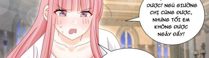 Trọng Sinh Thành Chó Của Nữ Thần Chapter 296 - Trang 2