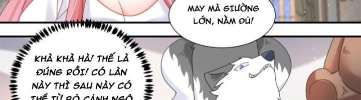 Trọng Sinh Thành Chó Của Nữ Thần Chapter 296 - Trang 2