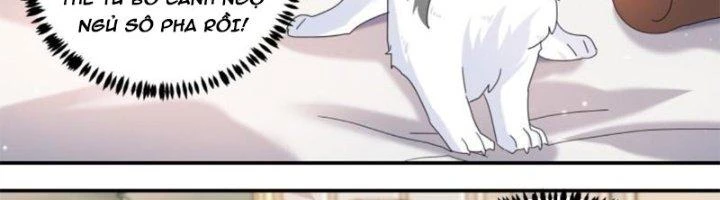 Trọng Sinh Thành Chó Của Nữ Thần Chapter 296 - Trang 2