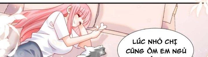 Trọng Sinh Thành Chó Của Nữ Thần Chapter 297 - Trang 2