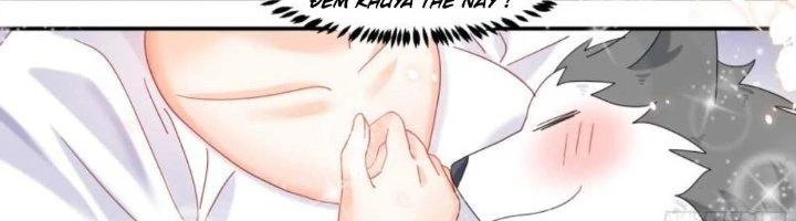 Trọng Sinh Thành Chó Của Nữ Thần Chapter 297 - Trang 2