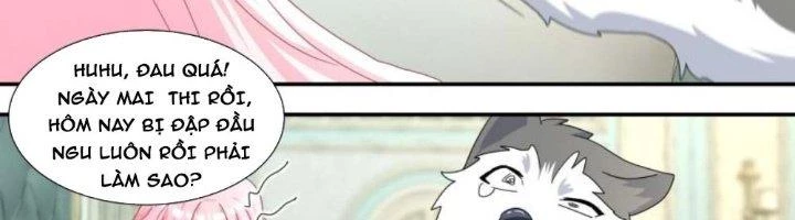 Trọng Sinh Thành Chó Của Nữ Thần Chapter 297 - Trang 2