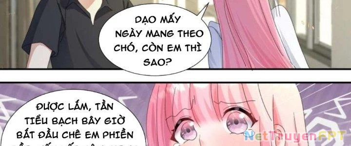 Trọng Sinh Thành Chó Của Nữ Thần Chapter 299 - Trang 2