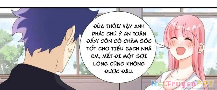 Trọng Sinh Thành Chó Của Nữ Thần Chapter 299 - Trang 2