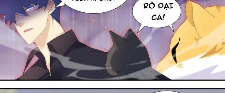 Trọng Sinh Thành Chó Của Nữ Thần Chapter 299 - Trang 2