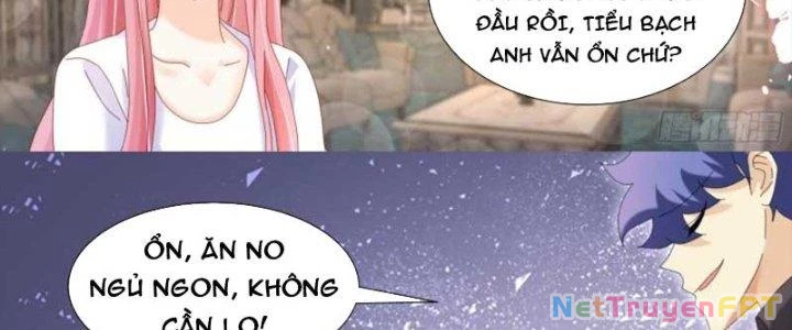 Trọng Sinh Thành Chó Của Nữ Thần Chapter 303 - Trang 2