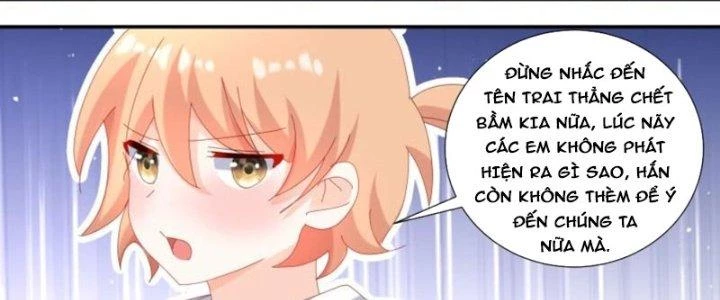 Trọng Sinh Thành Chó Của Nữ Thần Chapter 306 - Trang 2