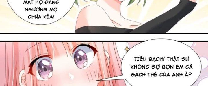 Trọng Sinh Thành Chó Của Nữ Thần Chapter 306 - Trang 2