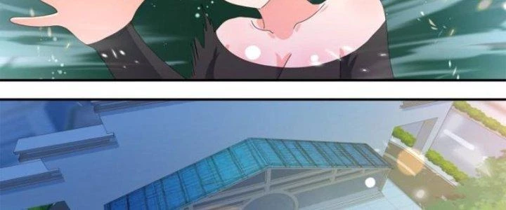 Trọng Sinh Thành Chó Của Nữ Thần Chapter 308 - Trang 2