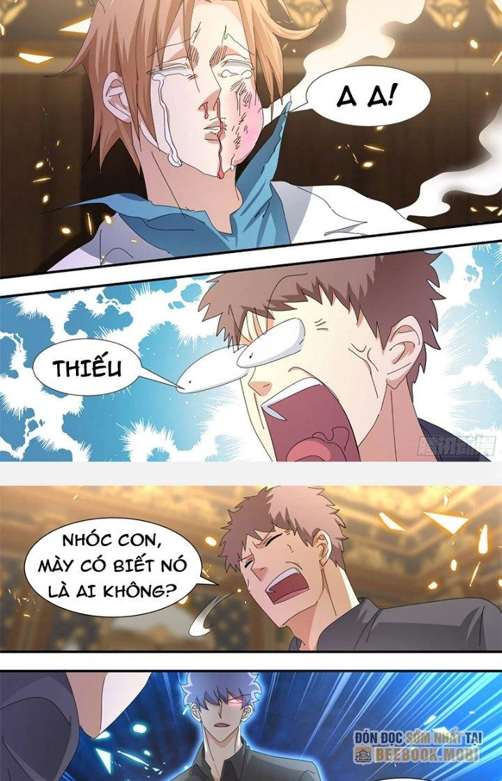 Trọng Sinh Thành Chó Của Nữ Thần Chapter 312 - Trang 2