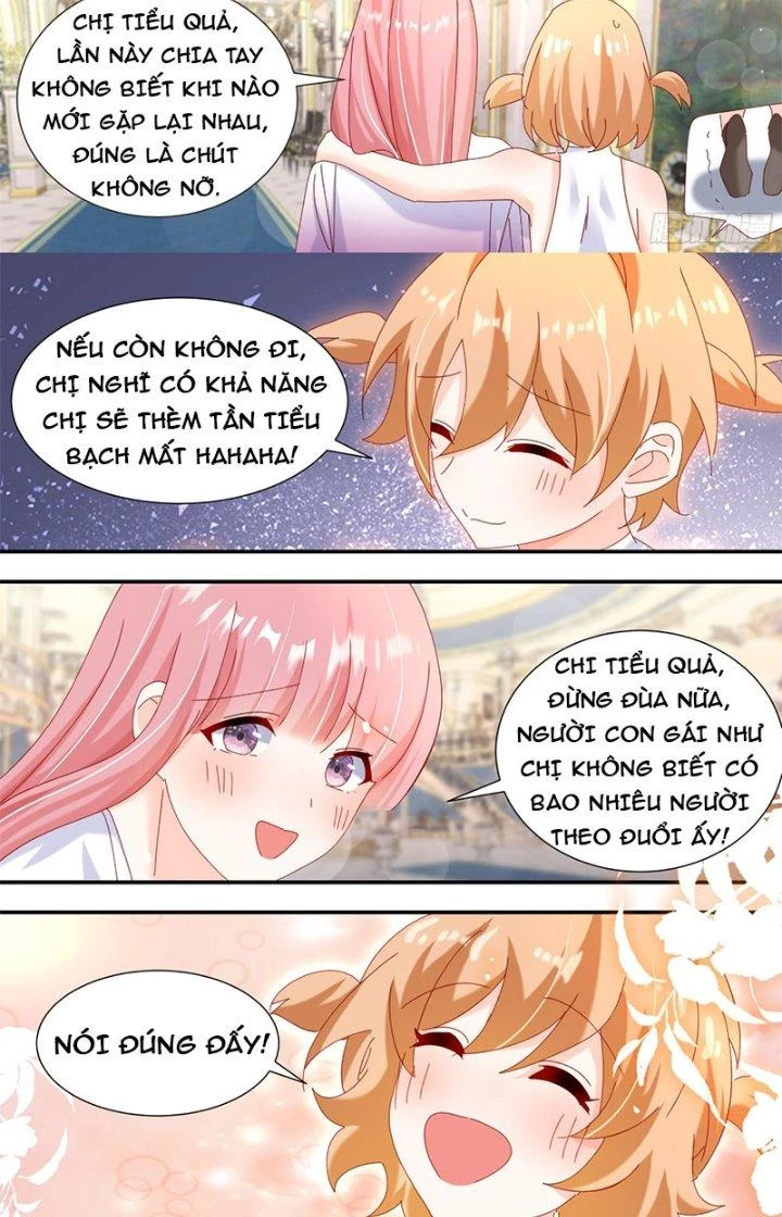 Trọng Sinh Thành Chó Của Nữ Thần Chapter 312 - Trang 2