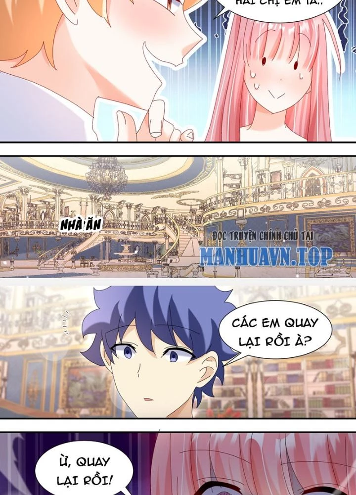 Trọng Sinh Thành Chó Của Nữ Thần Chapter 314 - Trang 2